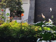-瑞丰园庭院餐厅·白族传统家常菜