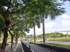 -厦门高崎国际机场-T3航站楼