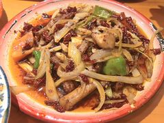 -柴窝堡22号辣子鸡·传承新疆菜