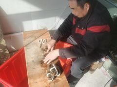 -阳澄湖大闸蟹·琼灵阁牌品牌连锁(吴中总店)