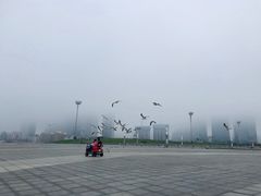 -东港音乐喷泉广场