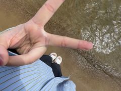 -碧海金沙