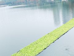 -重庆彩云湖湿地公园