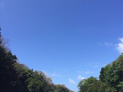 -塞尔夫岛