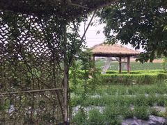 -紫颐香薰山谷景区