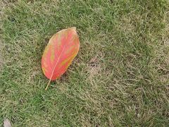 -成都工业学院(郫都校区)