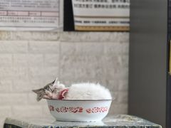 -平行世界·猫咖(首经贸店)