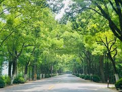 -金山嘴渔村