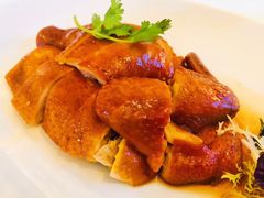 玫瑰豉油鸡-宝丽轩中餐厅BAOLIXUAN