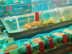 水产区-海大大蒸汽海鲜餐厅·粤菜·特色小炒(欢乐颂店)
