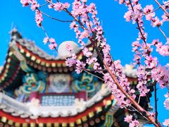 -颐和园