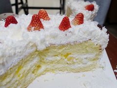 -维尔纳斯·生日蛋糕动物奶油冰淇淋蛋糕(人大店)