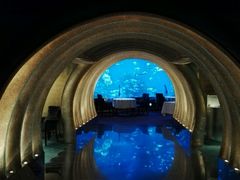 -迪拜帆船酒店海底餐厅