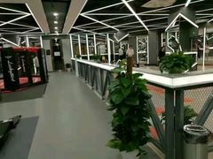 -金吉鸟健身游泳