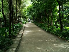 -南岗山公园