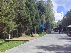 -汤旺河林海奇石景区