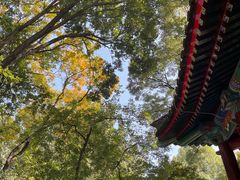 -北京动物园-畅观楼