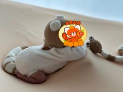 点击看大图 -玛瑞莎孕婴童摄影到家拍