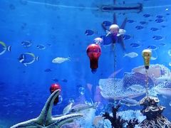 -海合安成都极地海洋公园