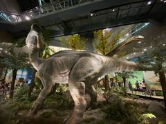 -湖南省地质博物馆