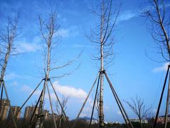 -安庆师范大学(龙山校区)