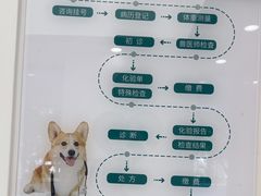 -瑞派康怡24h宠物医院·犬猫医疗中心·微创绝育(瑞景分院)
