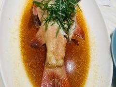 -陶陶居酒家(新天地店)