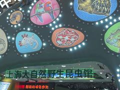 -上海大自然野生昆虫馆(东方明珠·爬宠昆虫探索中心)