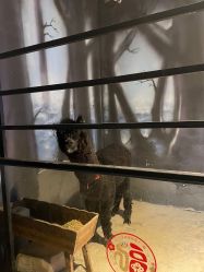 -酷嗒动物文化乐园(cutezoo西溪乐天城店)