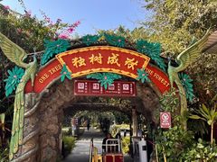 -瑞丽独树成林风景区