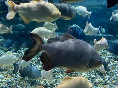 -成都浩海立方海洋公园