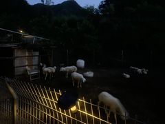 -北京山里寒舍度假酒店