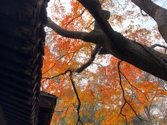 -无锡惠山寺