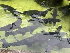 -南京金牛湖风景区