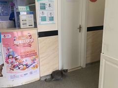 -安安宠医·安宠宠物医院