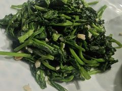 清炒豌豆苗-YAFEE雅菲·粤菜·湘菜·融合菜(魏公村店)