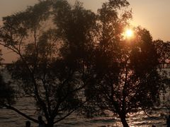 -宝安西湾红树林湿地公园