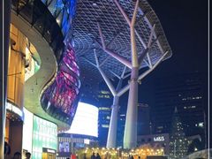 -爱雍·乌节