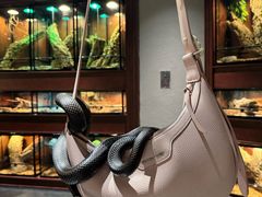 -帕帕拉兹宠物(亚洲旗舰店)