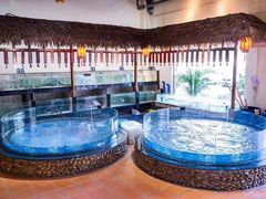 水产区-渔乐里(智荟城店)