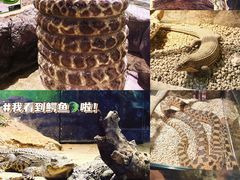 -正佳雨林生态植物园