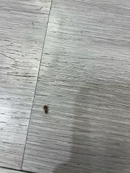 -瞧·享轻奢美甲美睫