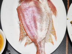 -吴记富苑(朝阳店)