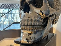 -北京盈之宝宝马&MINI4S店(望京店)