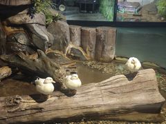 -苏州海洋馆