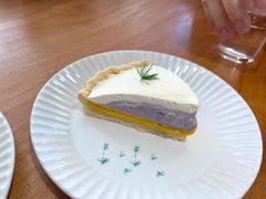 南瓜芋泥挞-猫里有甜