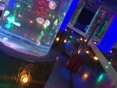 -锦艺城海洋馆