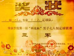 -上海科学技术职业学院