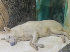 -大连圣亚海洋世界