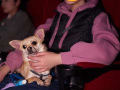 -保利国际影城(万家邻里店)